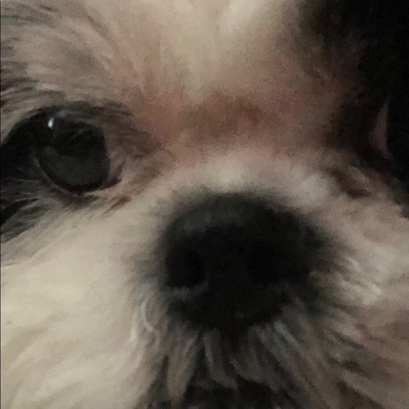 Meet your Posher, Claudia - Picture 1 of 1